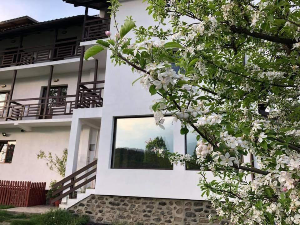 Camere De Inchiriat Livada Cu Meri Capatineni-Ungureni Экстерьер фото